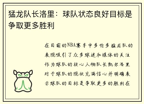 猛龙队长洛里：球队状态良好目标是争取更多胜利